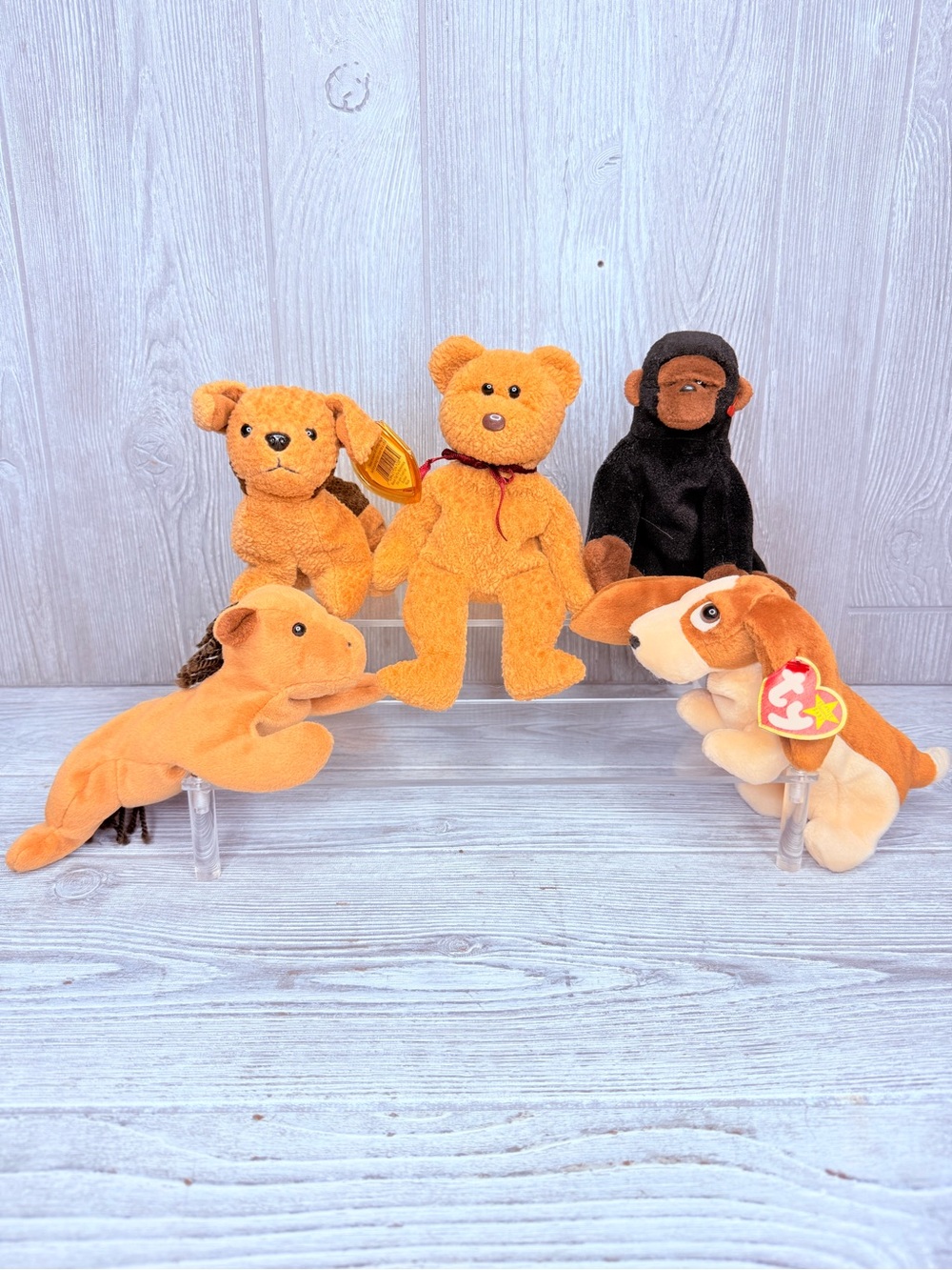 Vintage Ty beanie baby’s bundle of 5 derby , tuffy , Congo , curly and tracker